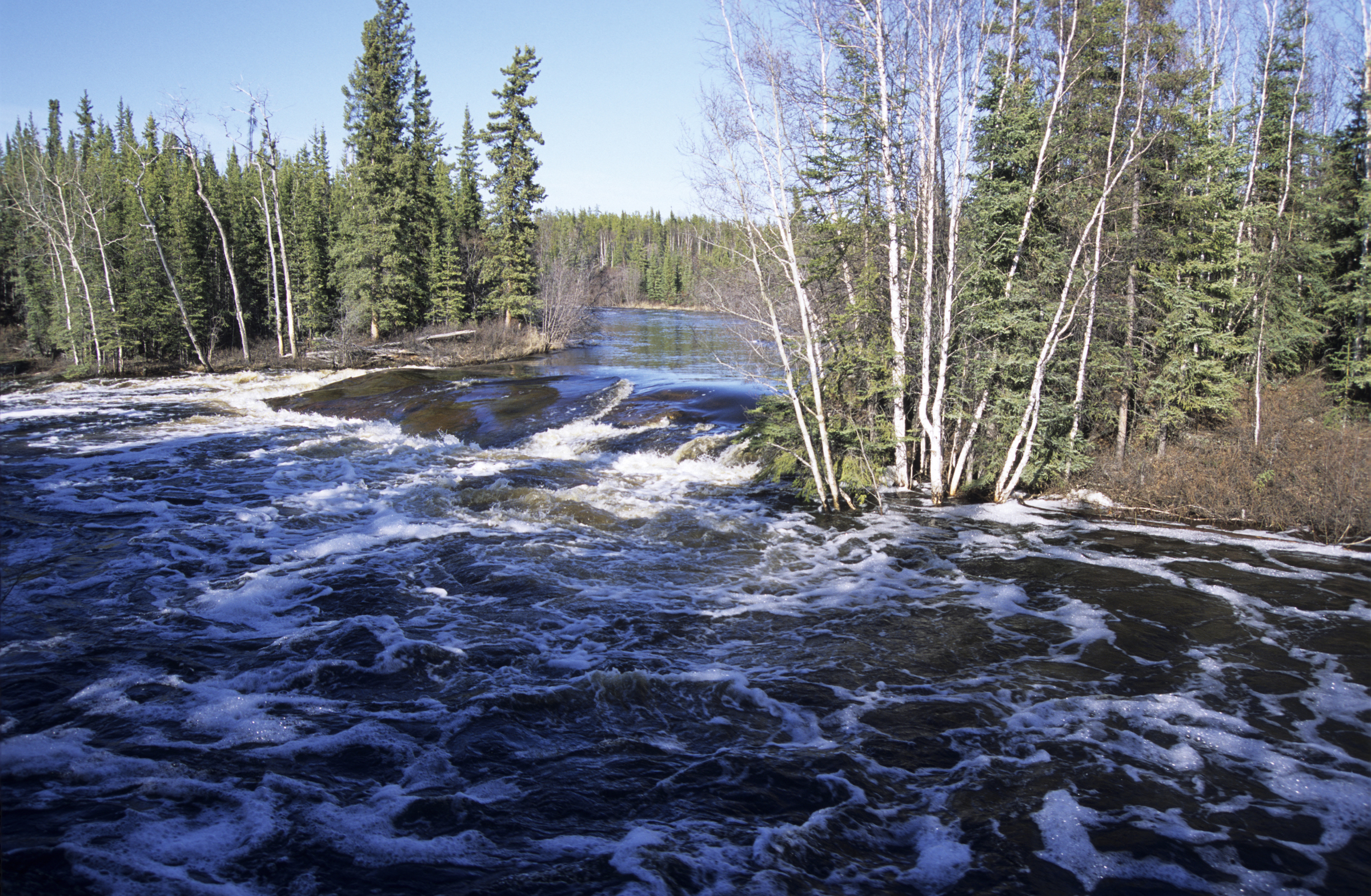 Boundary Creek flows through the forest in the Northwest Territories, Canada.