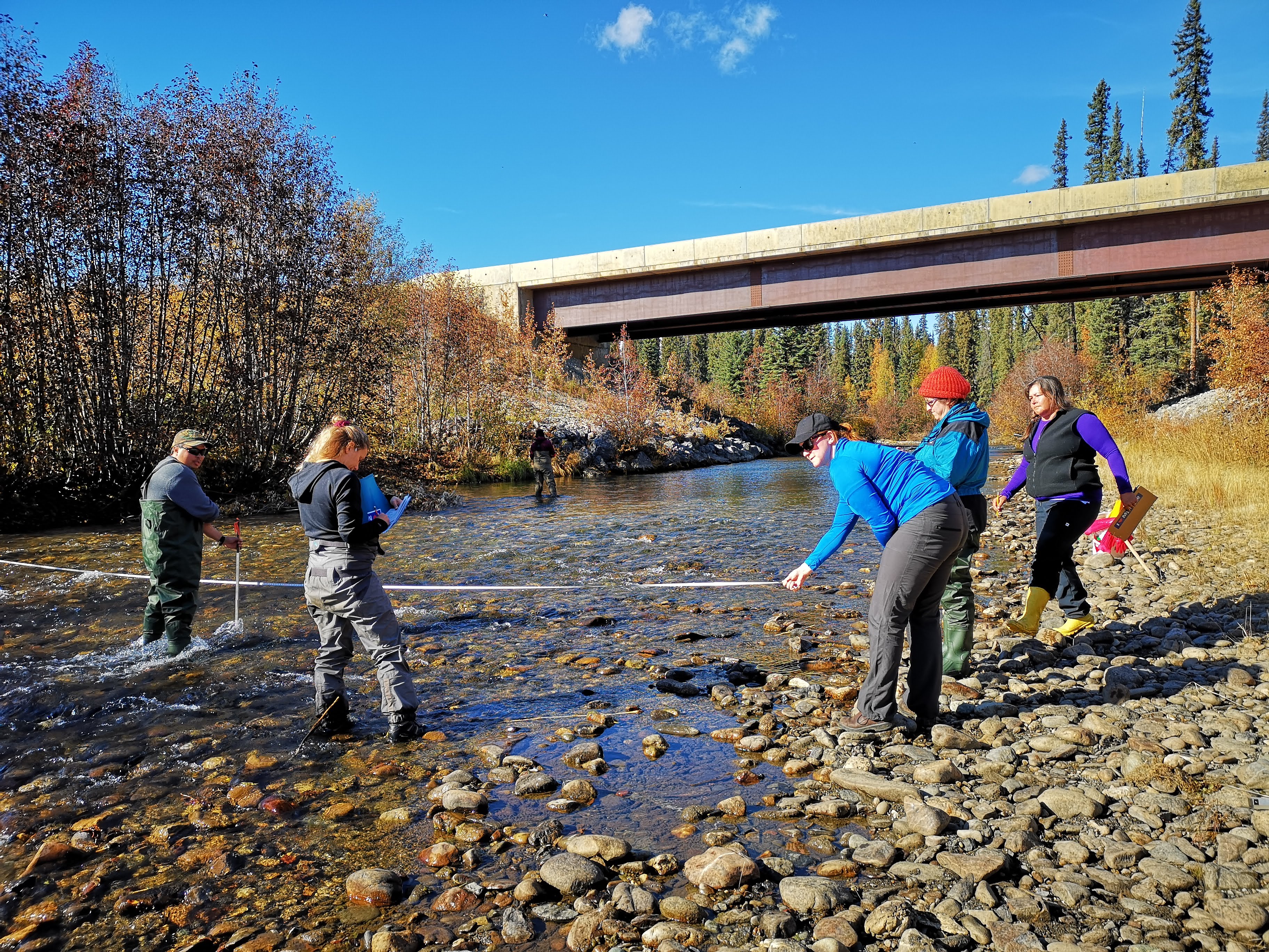 Monitoring the Liard