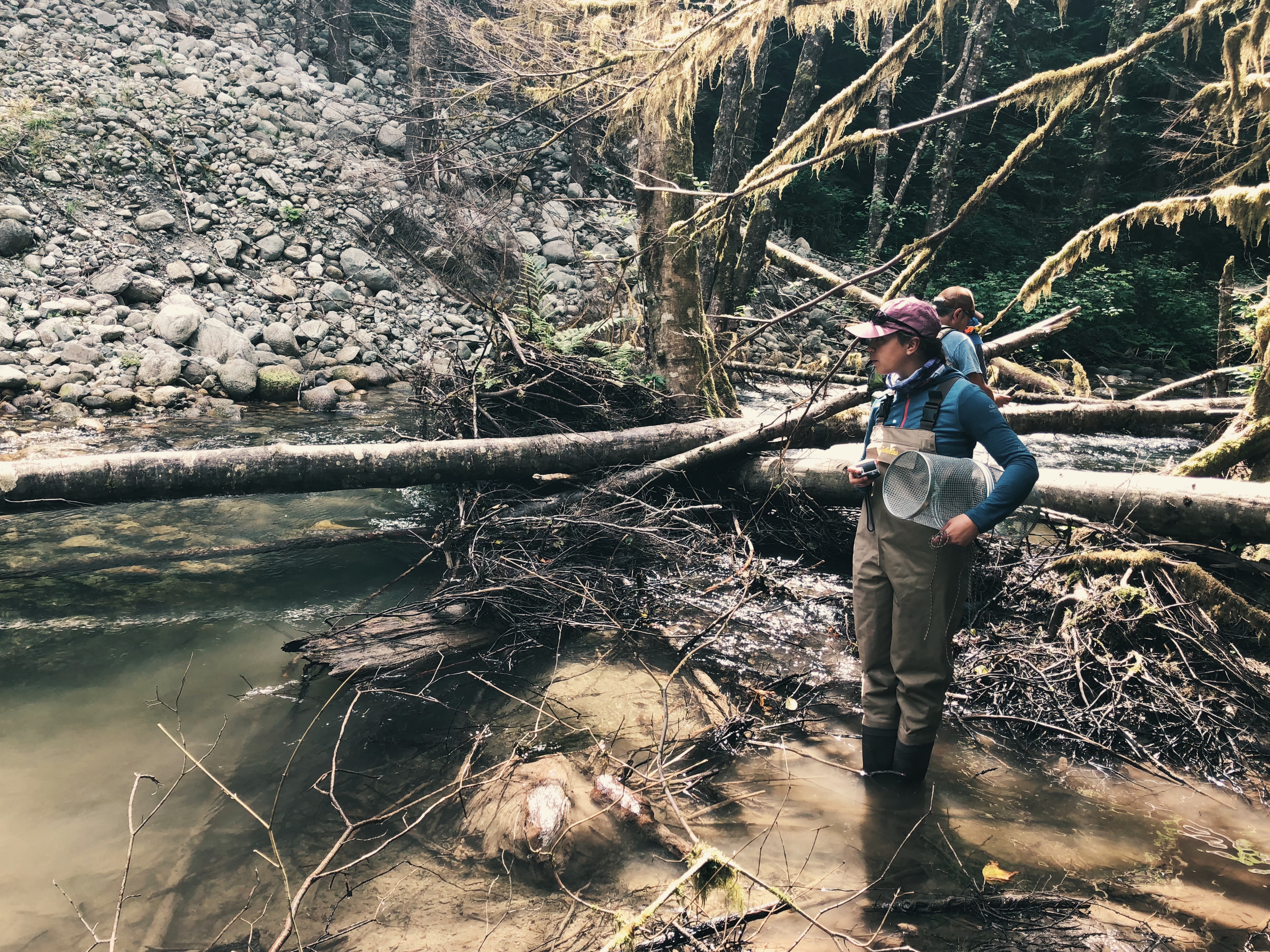 Katzie traditional territory near Alvin BC