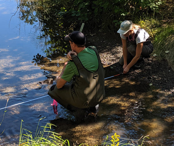 WWF and partners monitoring eDNA in stream