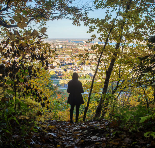 Montreal from the Mount Royal