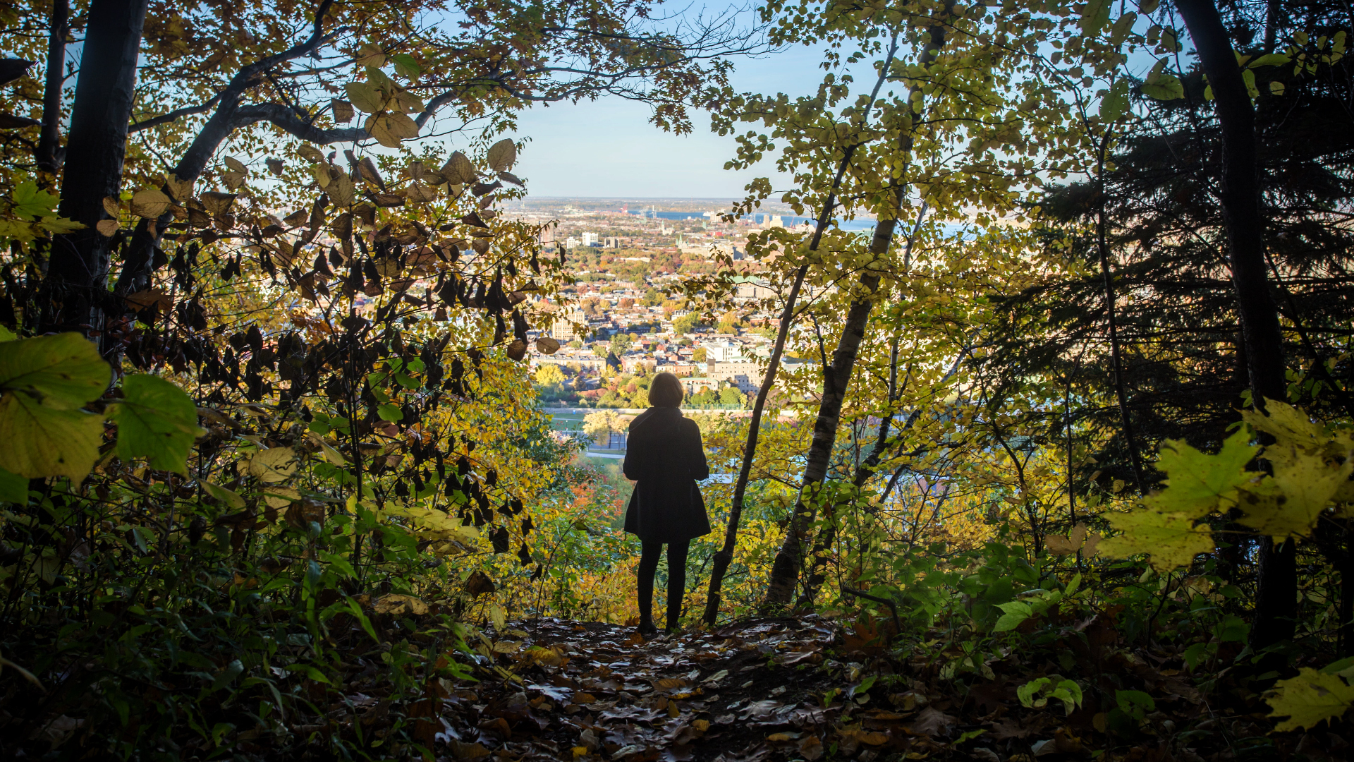 Montreal from the Mount Royal
