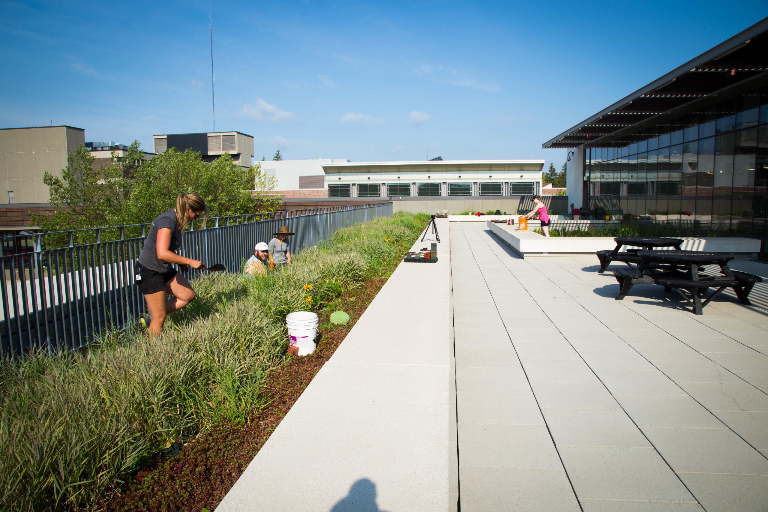 Pollinator Garden Planting