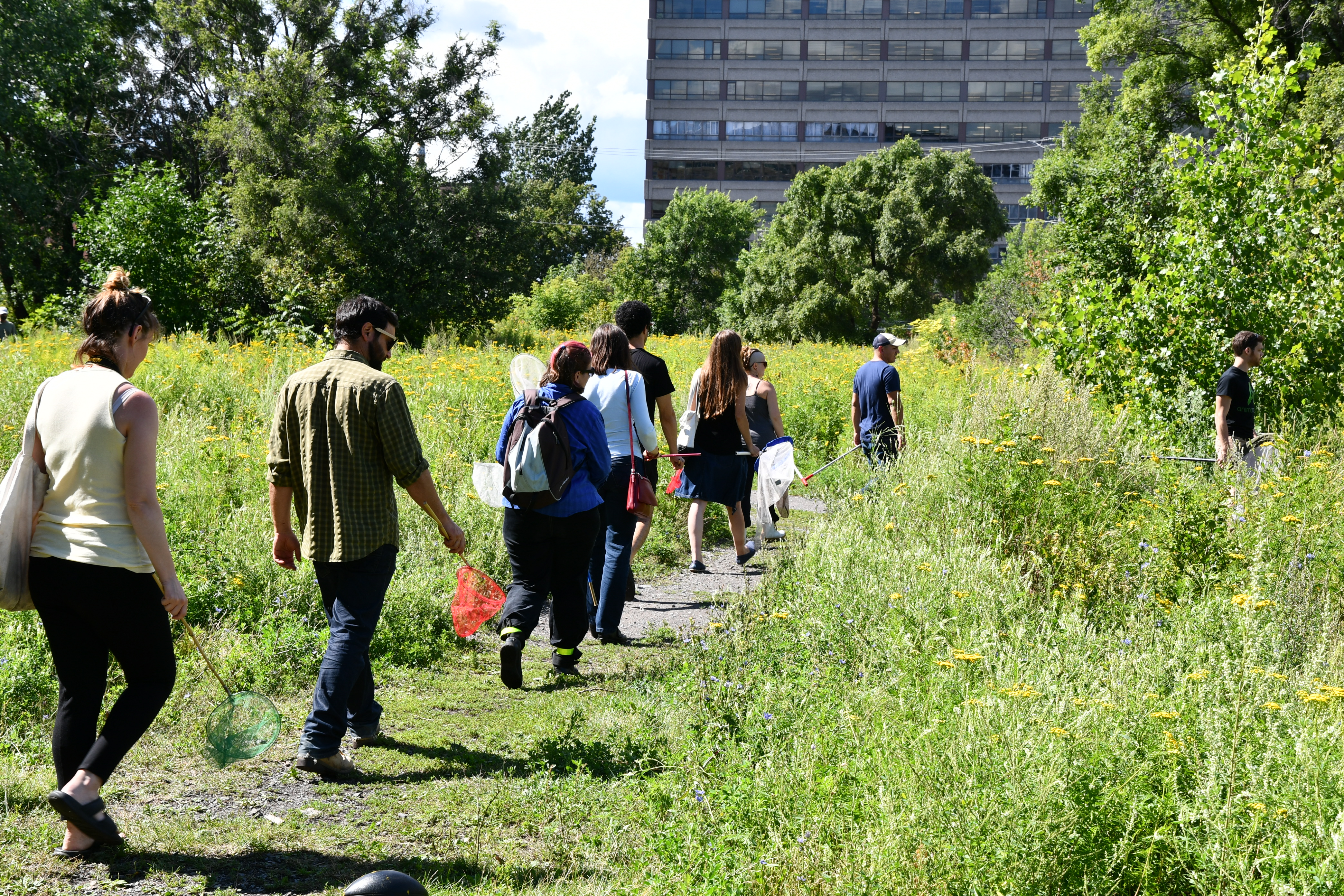 people in garden