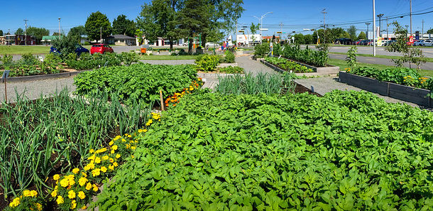 Jardin des rendez-vous Victoriaville