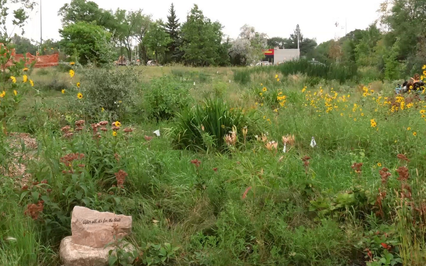 Niaka Trail Rain Garden © Michele Kading