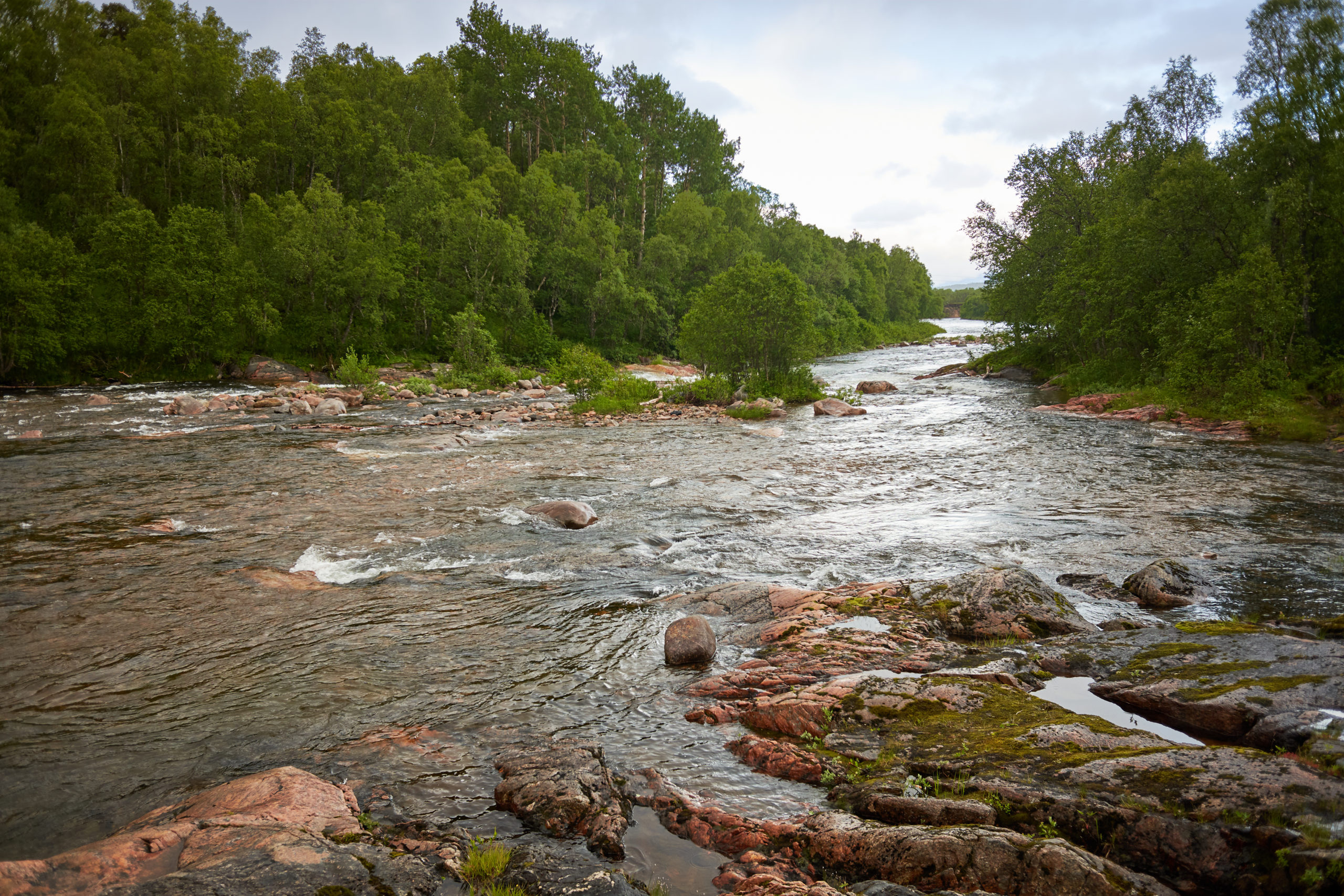 River Landscape In Anderdalen National Park On The Senja Island,