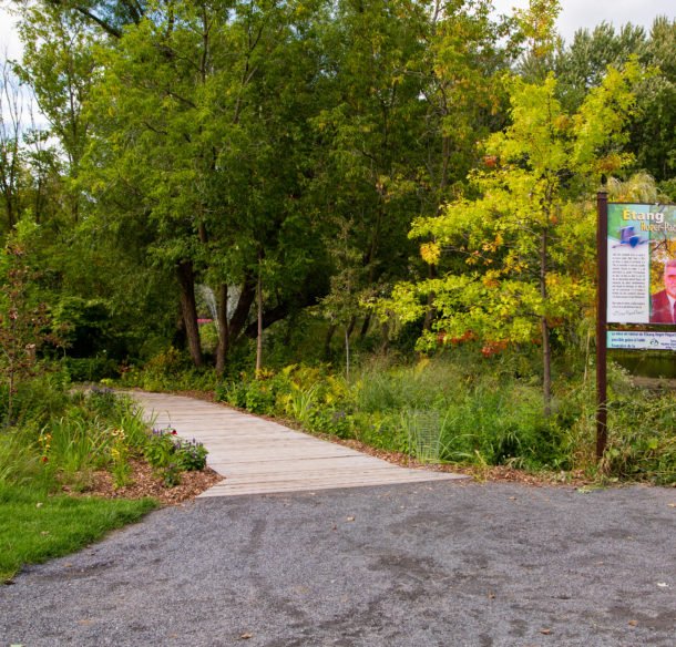 étang Roger-Paquet, Ville de Victoriaville