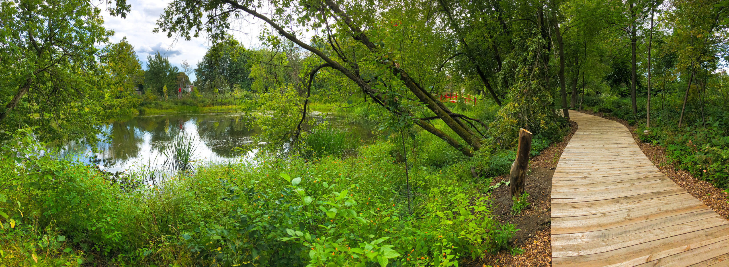 étang Roger-Paquet, Victoriaville