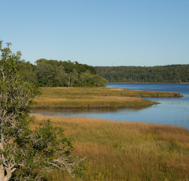 Saint John River