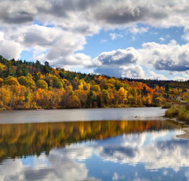 Saint John River in the fall