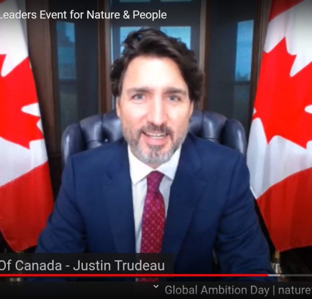 Le premier ministre Justin Trudeau parle en direct à l’évènement virtuel des Leaders pour la nature et les personnes du WWF