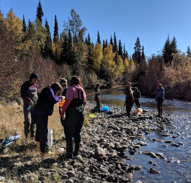 Free Flowing Water Monitoring