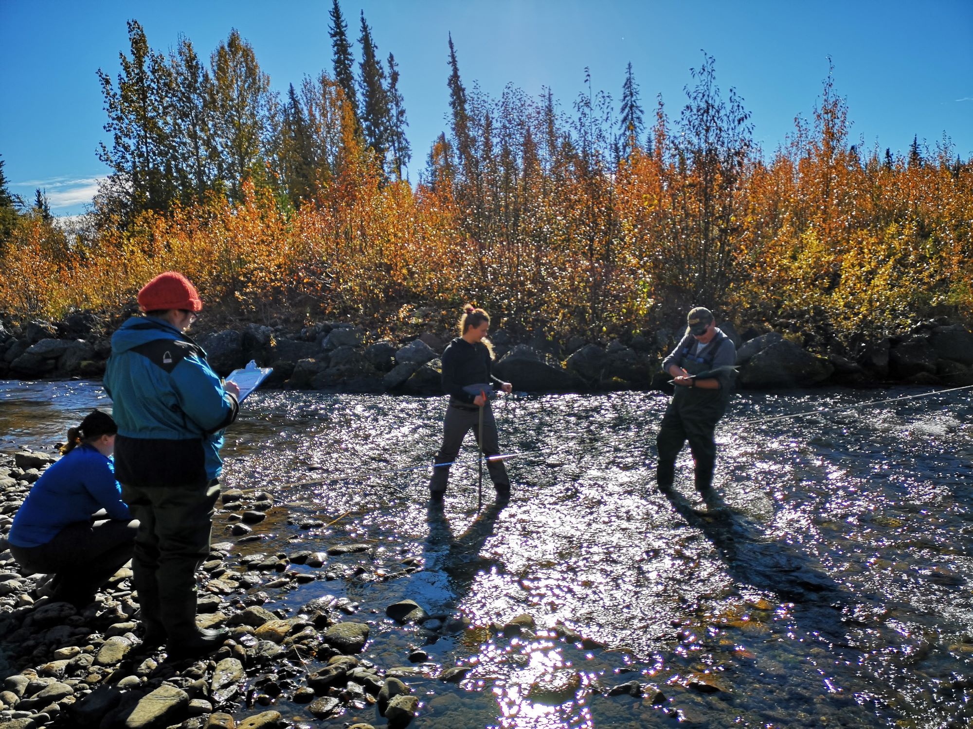 Water Monitoring the Liard