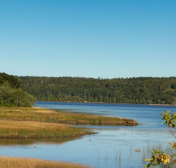 Saint John River