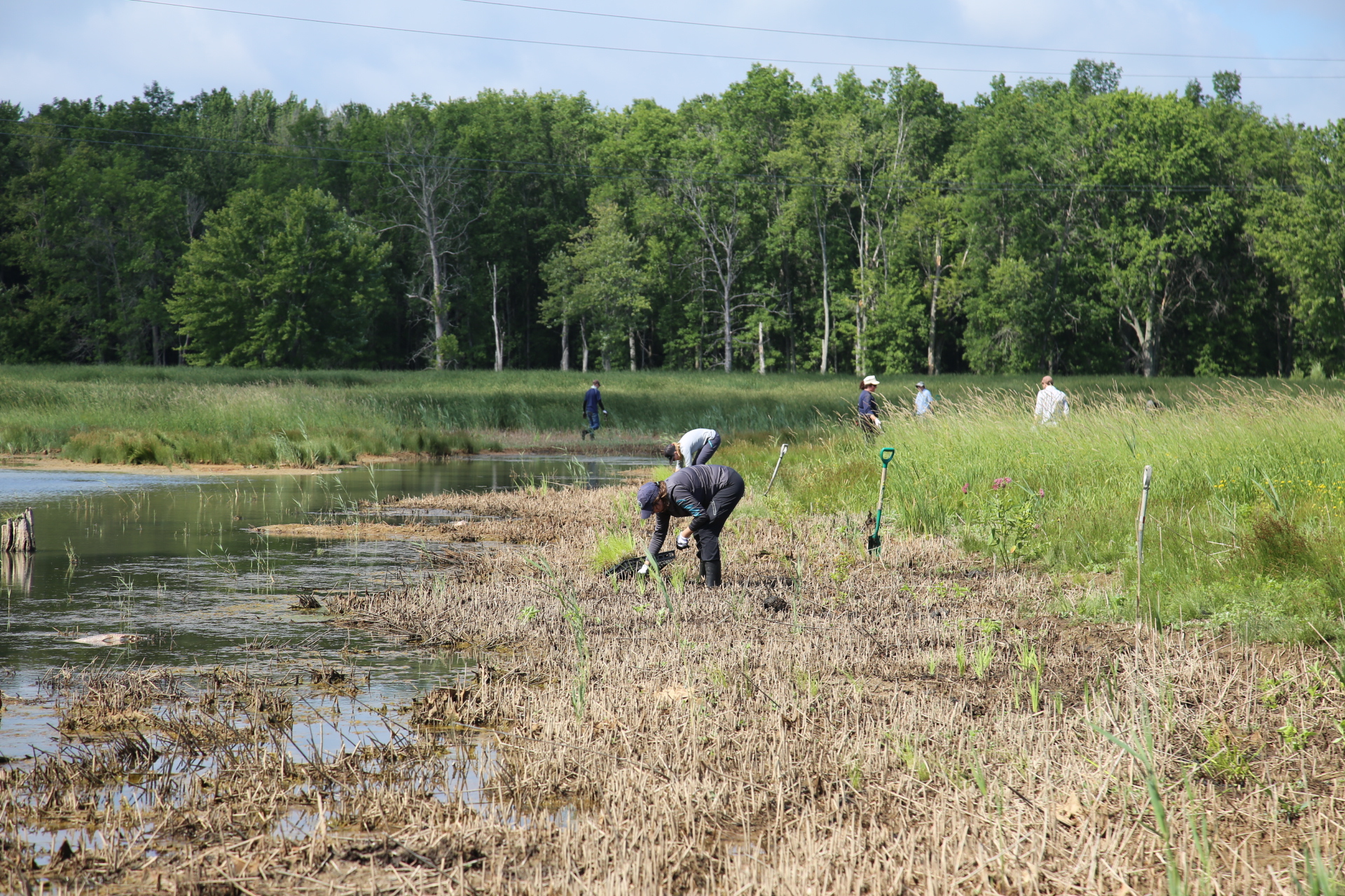 digging in a watershed