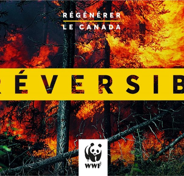 Regenerate Canada