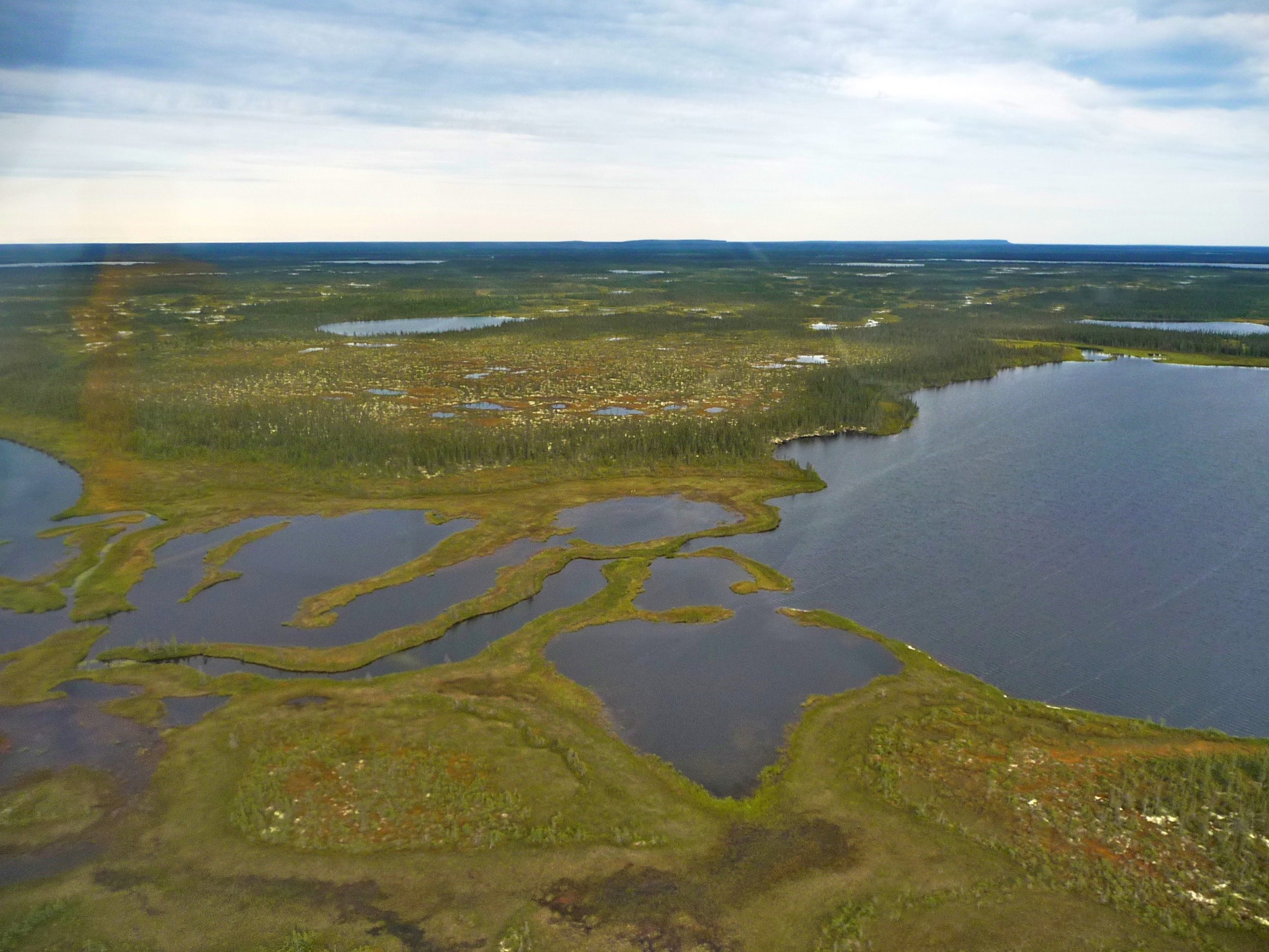 Aerial view of the landscape