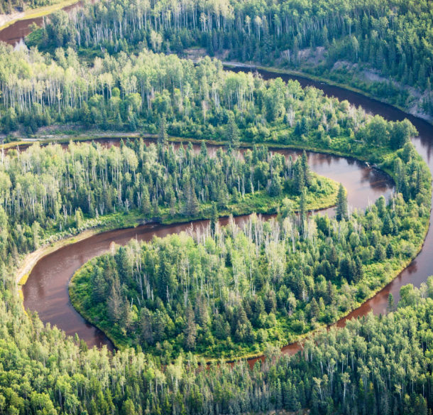 Boreal-forest-in-Northern-Alberta-