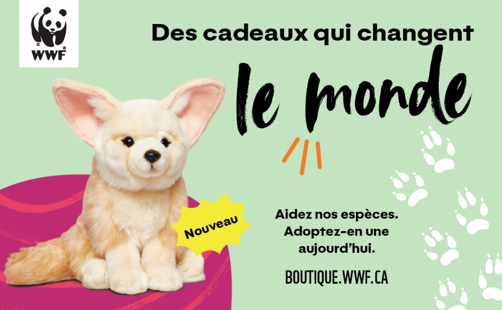 adoptions plushie ad