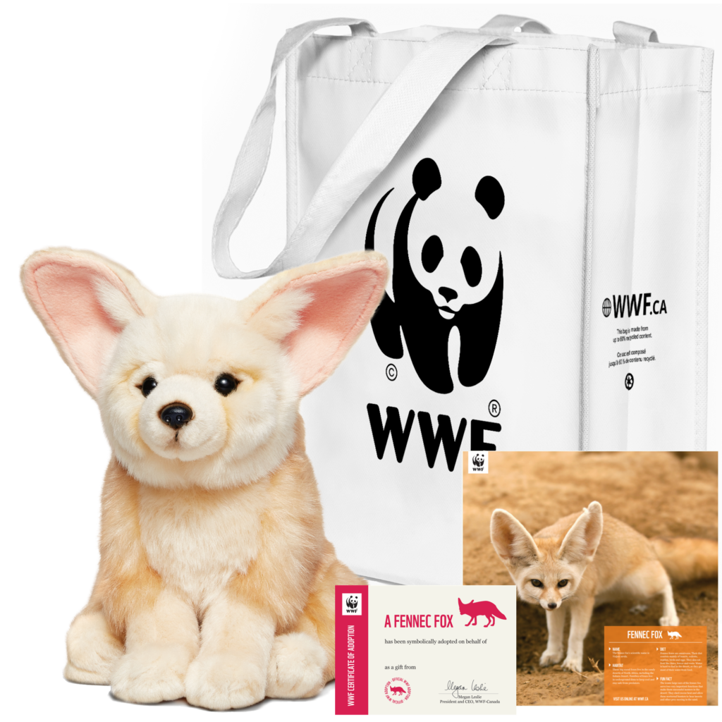 Fennec fox adoption kit, featuring a plushie, poster, adoption certificate and reusable tote bag.