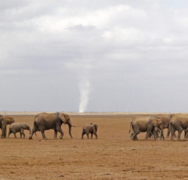 Amboseli, Kenya (2008) © Dave Leeman