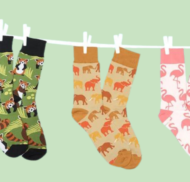 chaussettes à motifs d'espèces