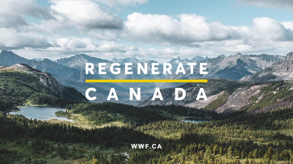 Canadian wilderness image overlaid with the words Regenerate Canada