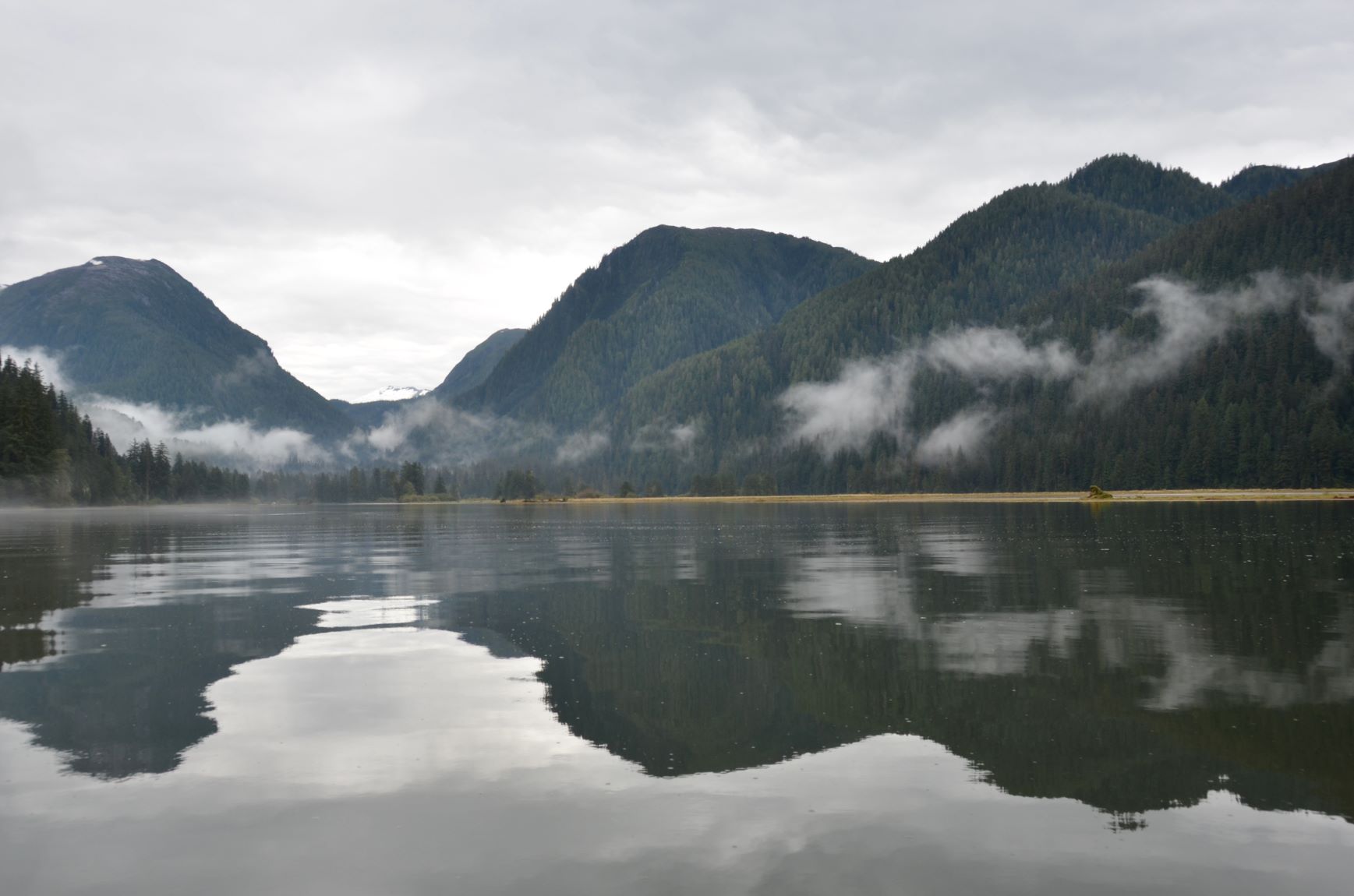 Great Bear Rainforest