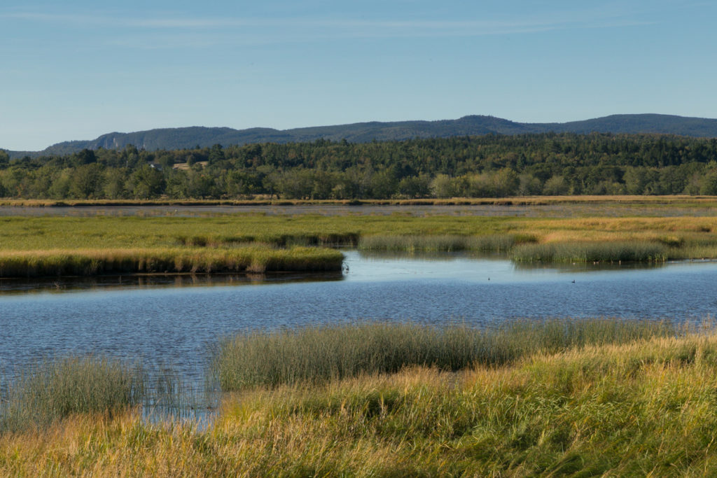 St John River Summit landscape