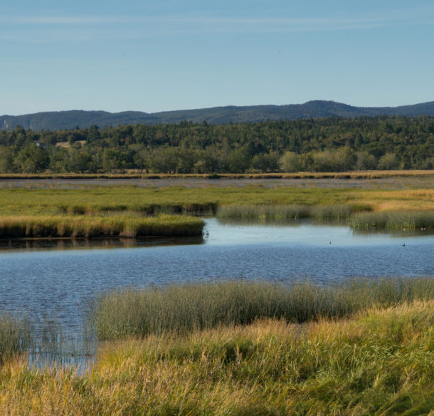 St John River Summit landscape