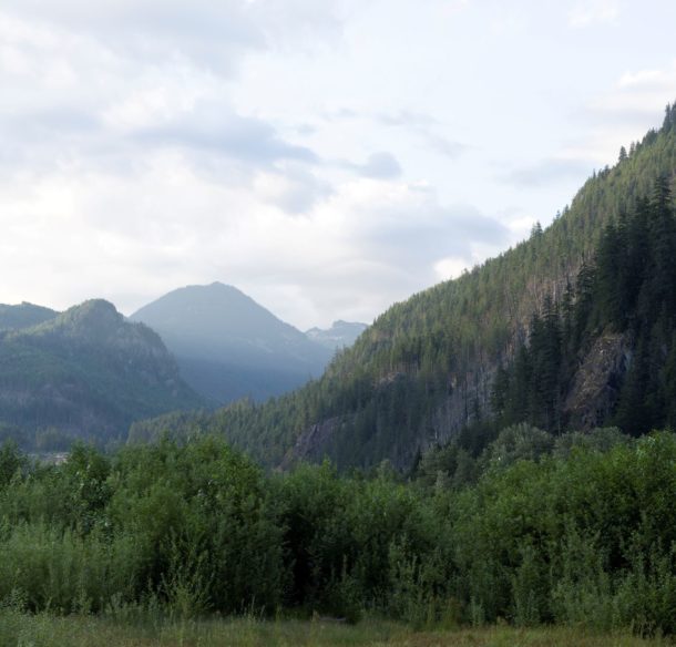 Landscape of mountain and forest