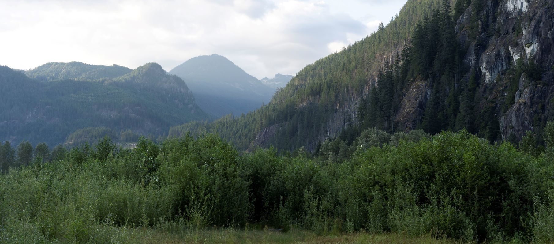 Landscape of mountain and forest