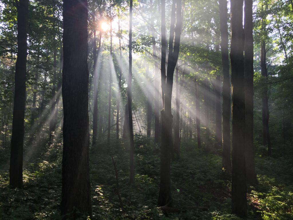 Presqu'ile Provincial Park on the north shore of Lake Ontario