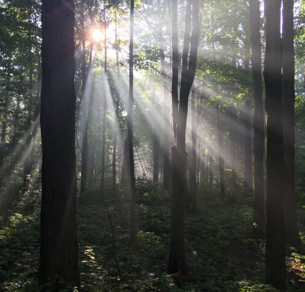 Presqu'ile Provincial Park on the north shore of Lake Ontario