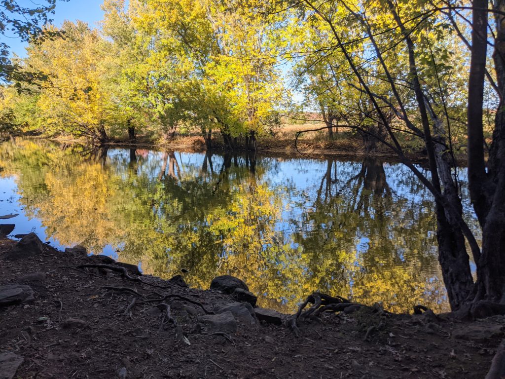 Wolastoq River with trees reflected in the water