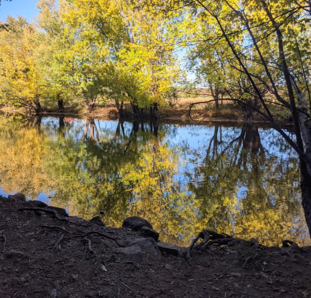 Wolastoq River with trees reflected in the water