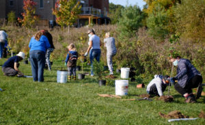 People planting trees