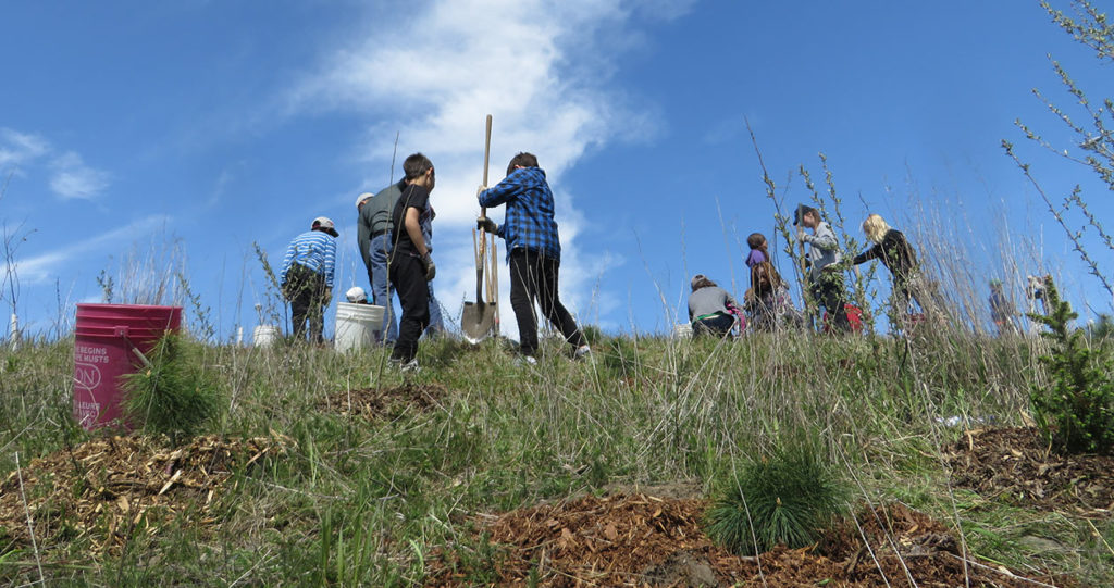 Students planting