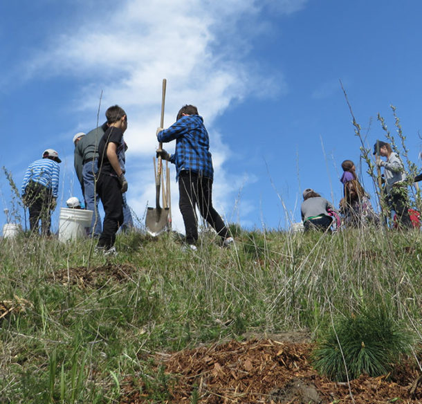 Des étudiants plantent des arbres