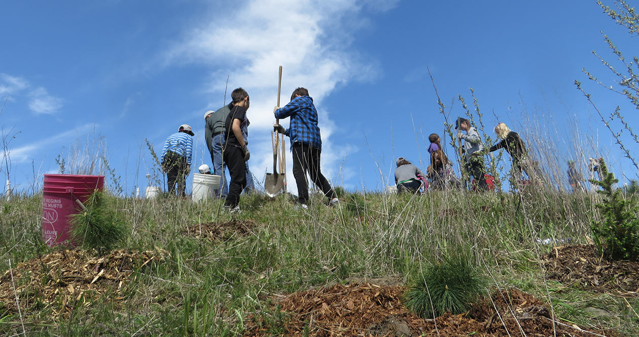 Des étudiants plantent des arbres