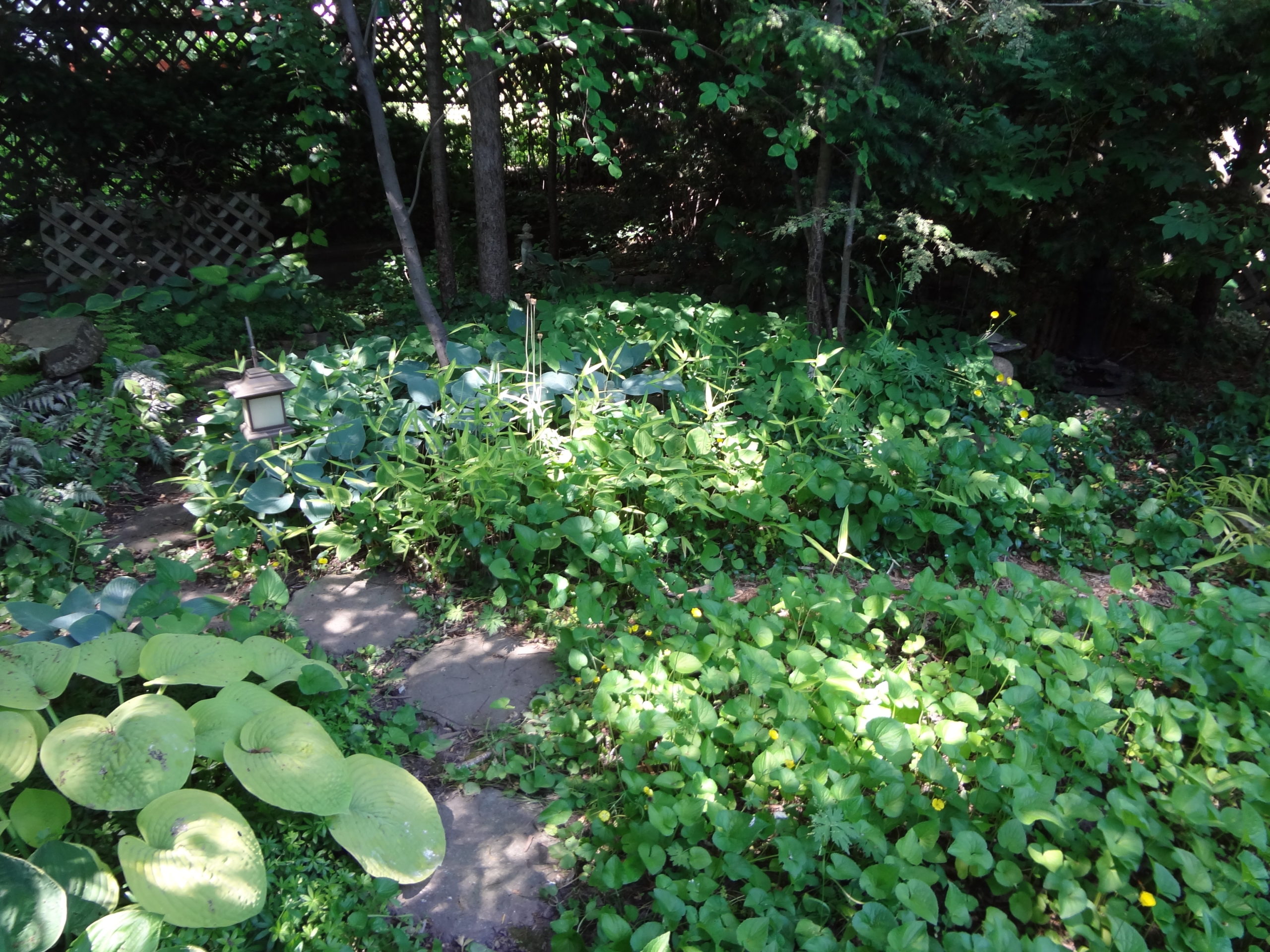 Rosemary's native plant garden