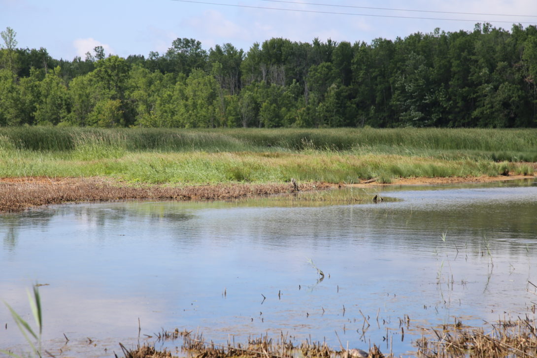 Le bassin versant de la vallée de la Nottawasaga 