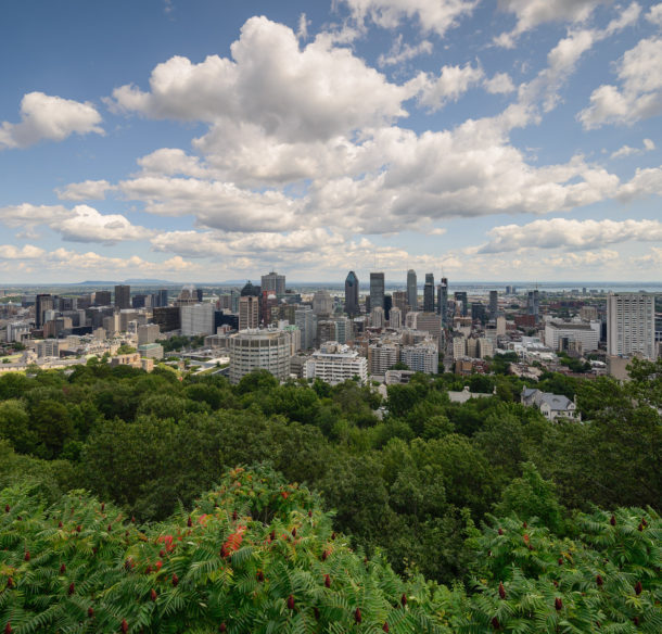 Downtown Montreal, Quebec, as seen from the top of Mount Royal