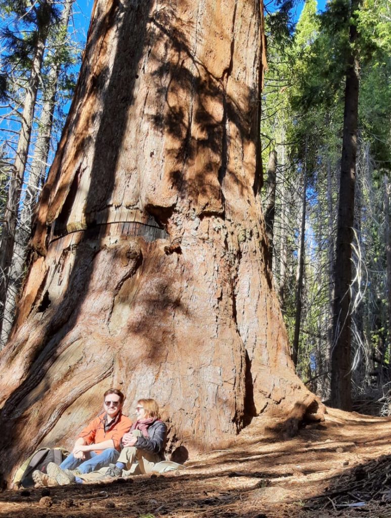 Anna et son fils sous un arbre partiellement coupé, dans le parc national de Kings Canyon, en Californie.  