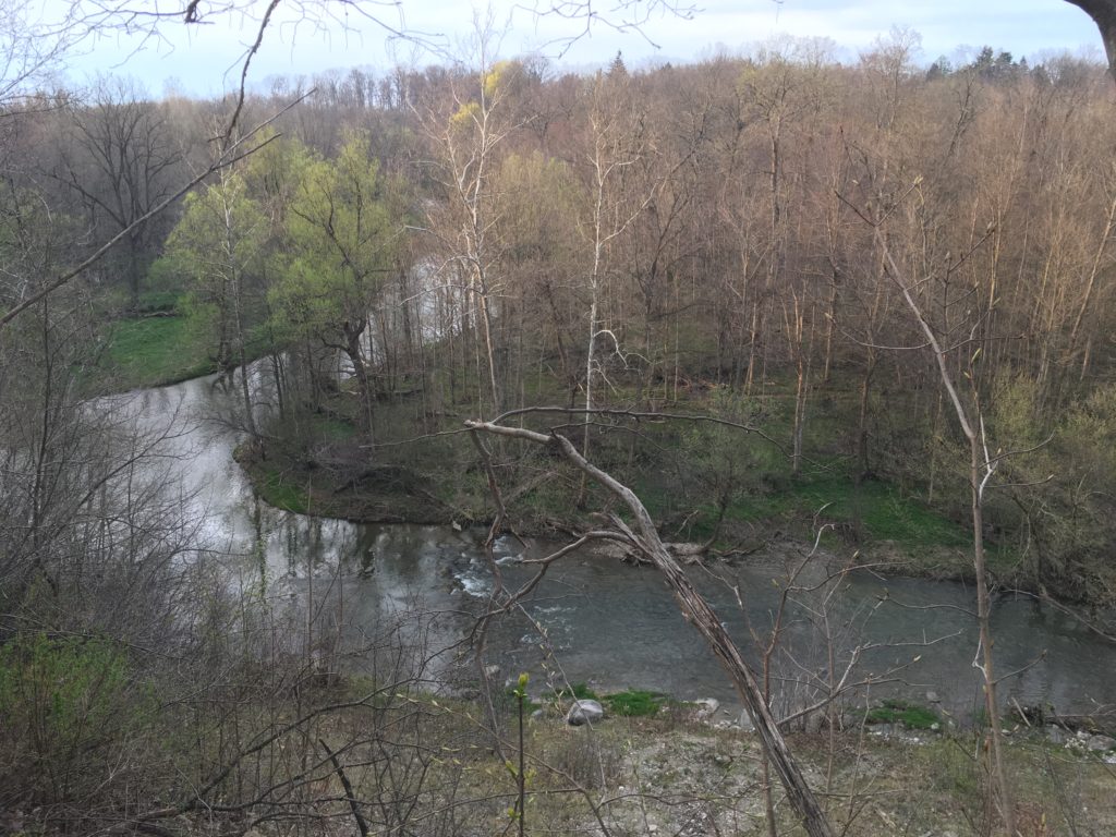 Thames river (Deshkan Ziibi) in the late fall