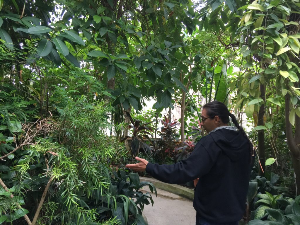 Anishinaabe Studies professor Mkomosé standing in a garden