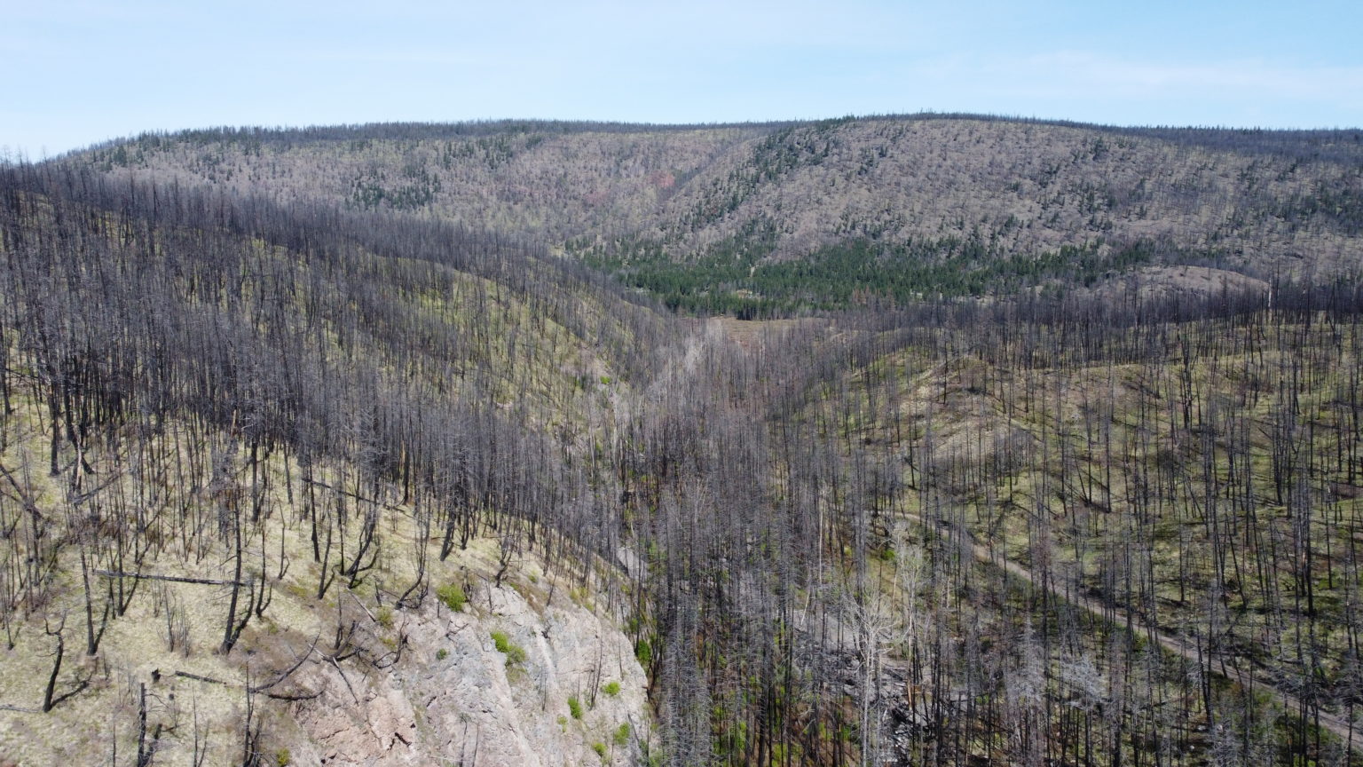 An area in BC that was ravaged by fire