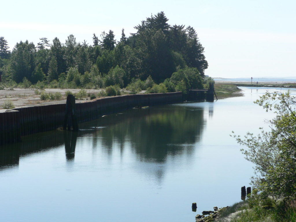 A valley on Vancouver Island with water and trees