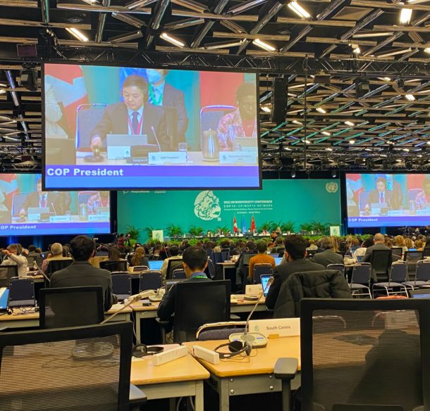 COP president from China on big screen above a room full of UN delegates